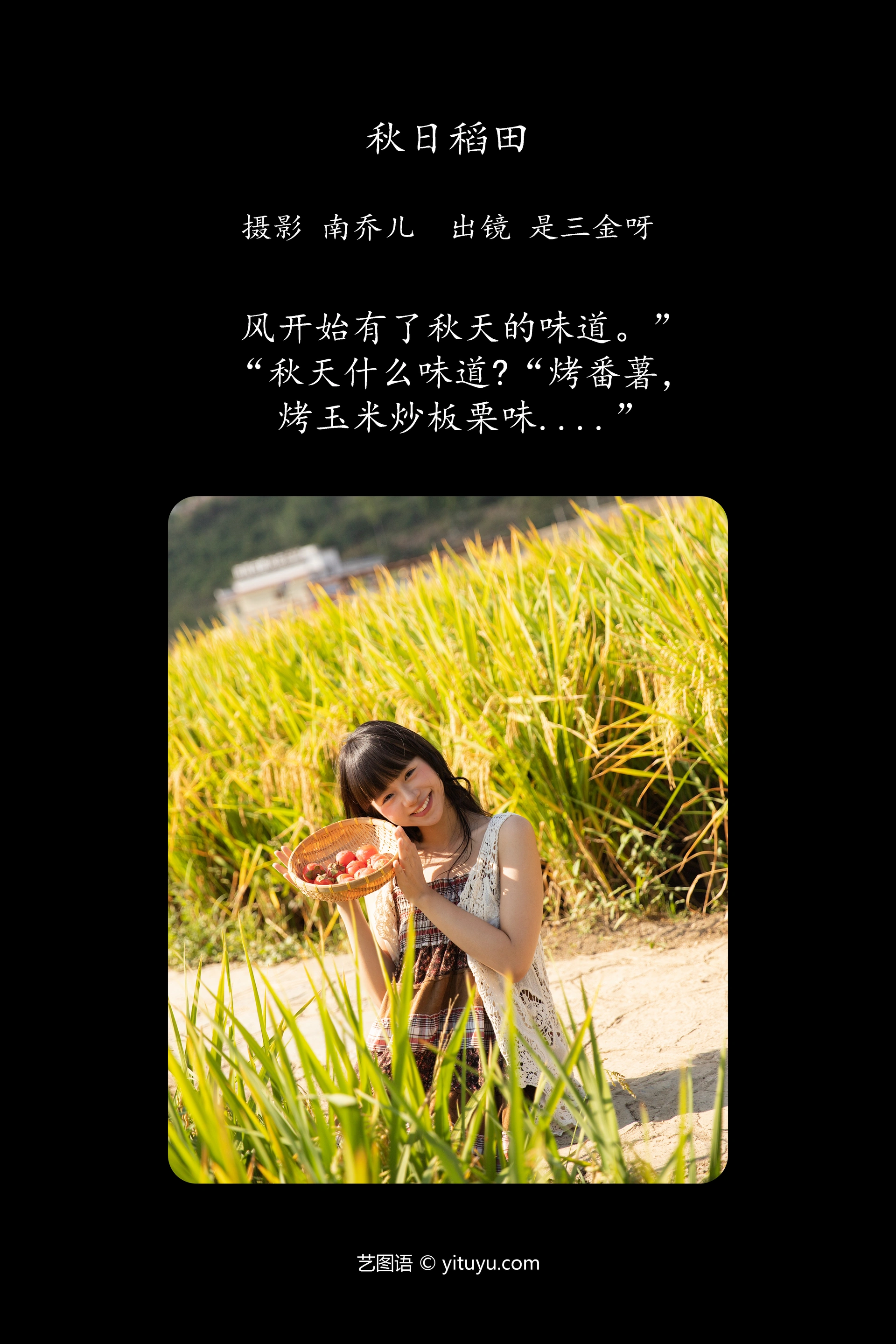 [YITUYU艺图语]2024.12.14 秋日稻田 是三金呀 1